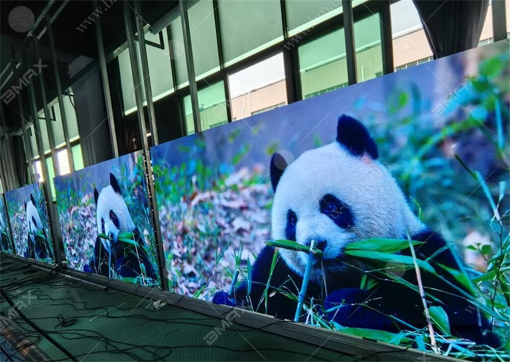 1722247144110973.jpg 微信图片_20240511173325.jpg